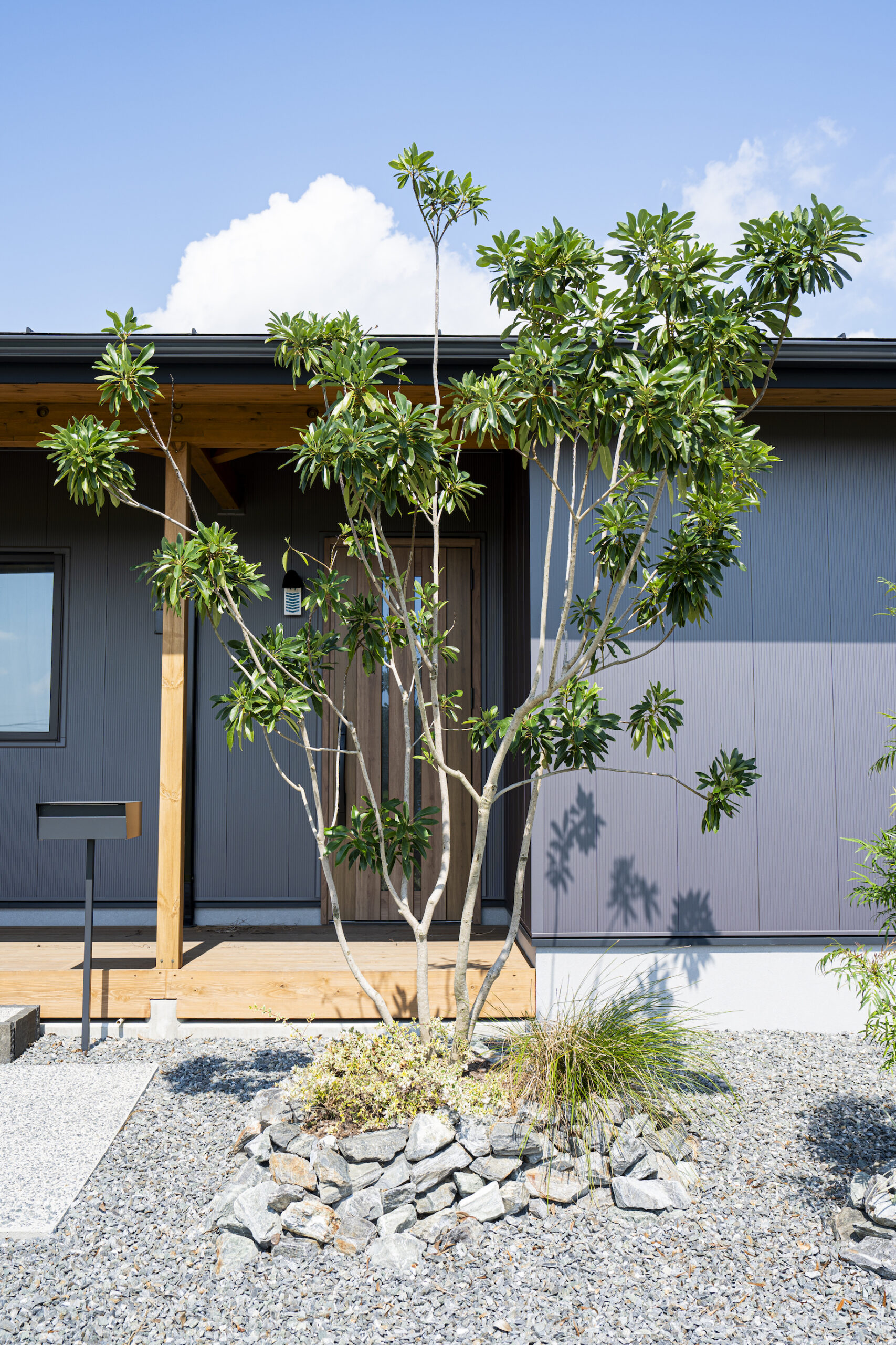 福岡県久留米市・筑後地方・佐賀　BinO KURUME COVACO ガンメタ色の外壁に映える植栽　施工事例画像